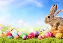 Animierte Gifs Gif Ostern