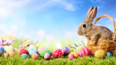 Animierte Gifs Gif Ostern